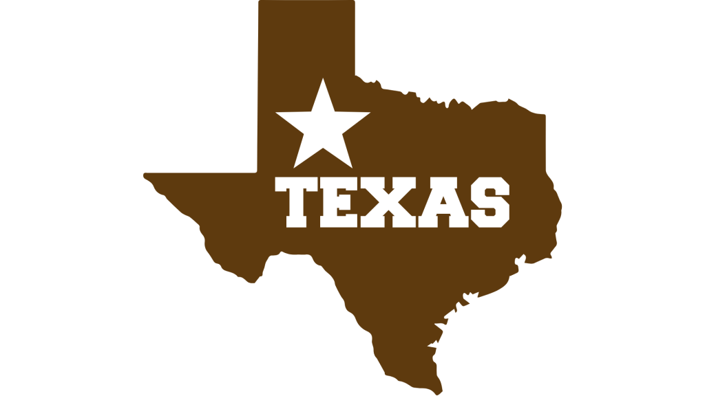 texas is great state for llc if you are aiming for consumer market