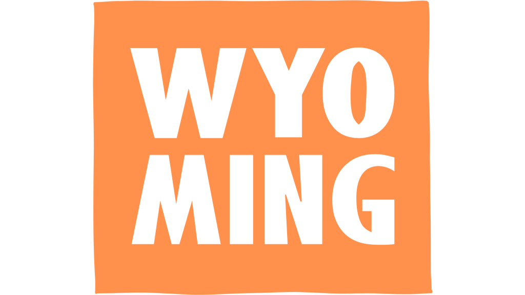 wyoming is generally considered everyman state for beginners in llc world